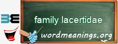 WordMeaning blackboard for family lacertidae